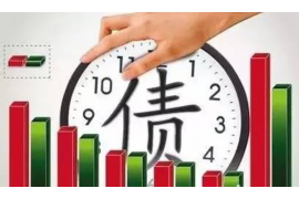 海北债务清欠服务